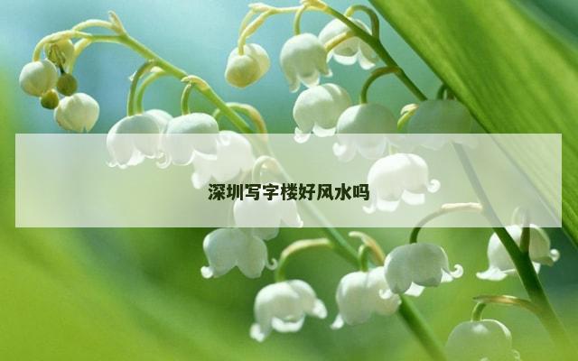 深圳写字楼好风水吗