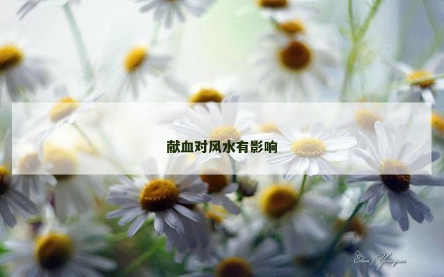 献血对风水有影响