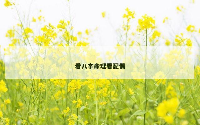 看八字命理看配偶