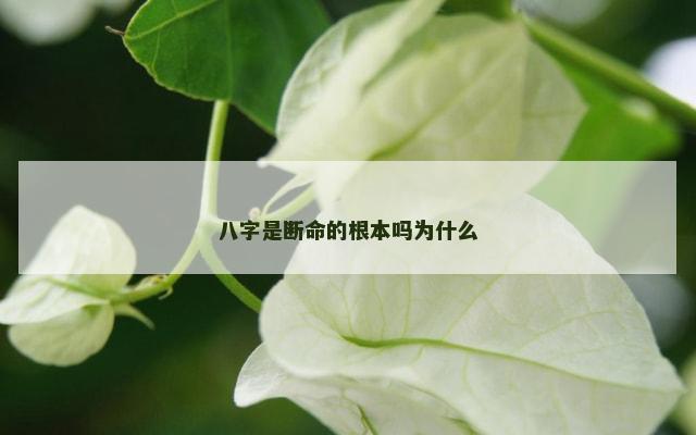 八字是断命的根本吗为什么