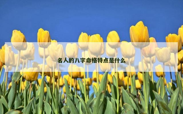 名人的八字命格特点是什么