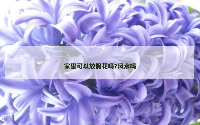 家里可以放假花吗?风水吗