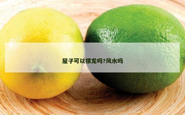 屋子可以摆龙吗?风水吗