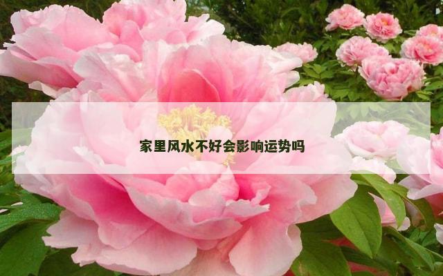家里风水不好会影响运势吗