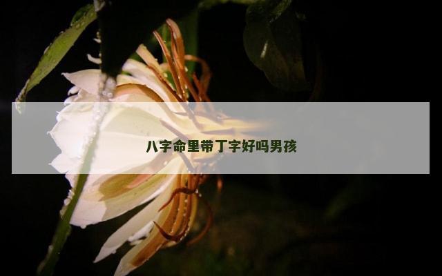 八字命里带丁字好吗男孩
