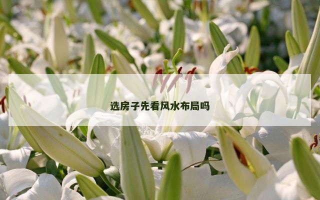 选房子先看风水布局吗