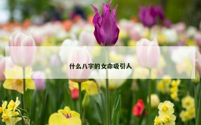 什么八字的女命吸引人