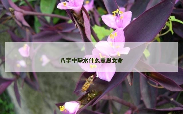 八字中缺水什么意思女命