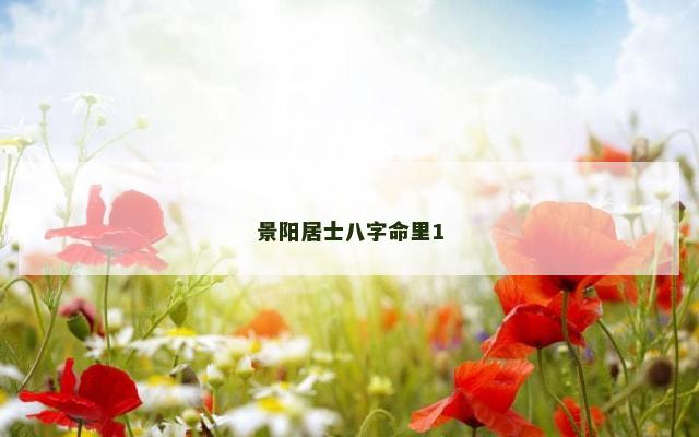 景阳居士八字命里1
