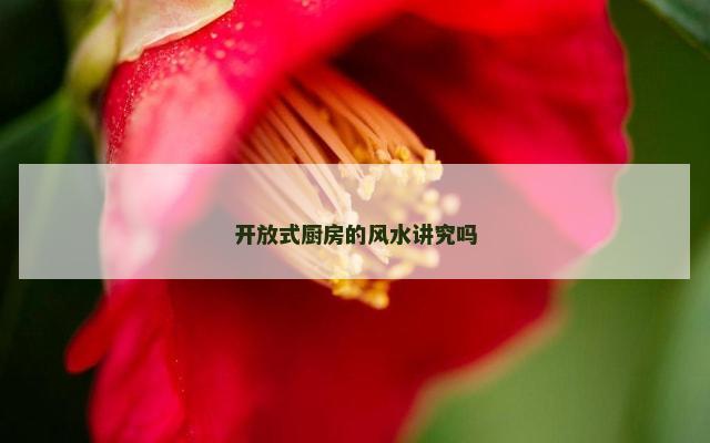开放式厨房的风水讲究吗