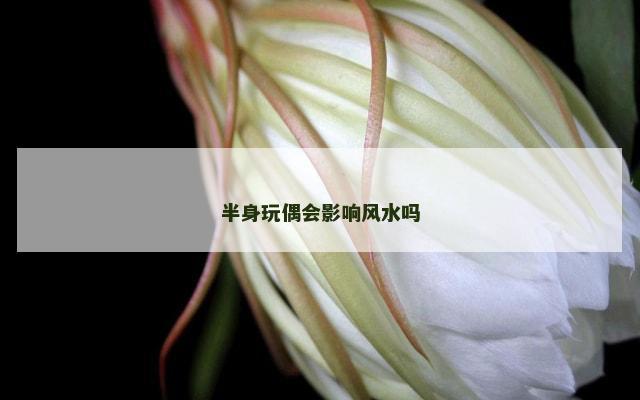 半身玩偶会影响风水吗