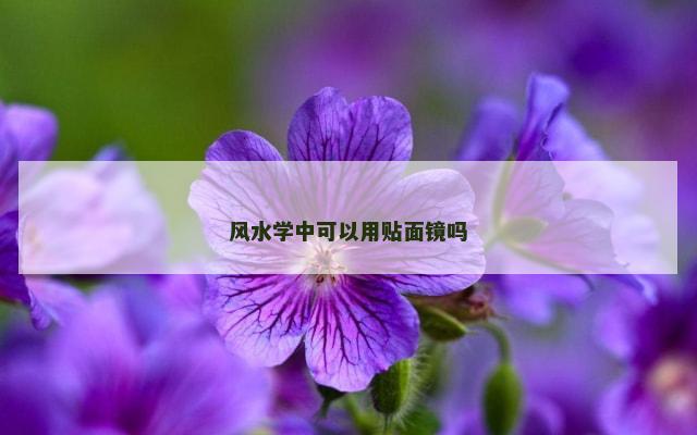 风水学中可以用贴面镜吗
