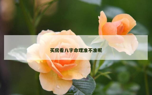 买房看八字命理准不准呢