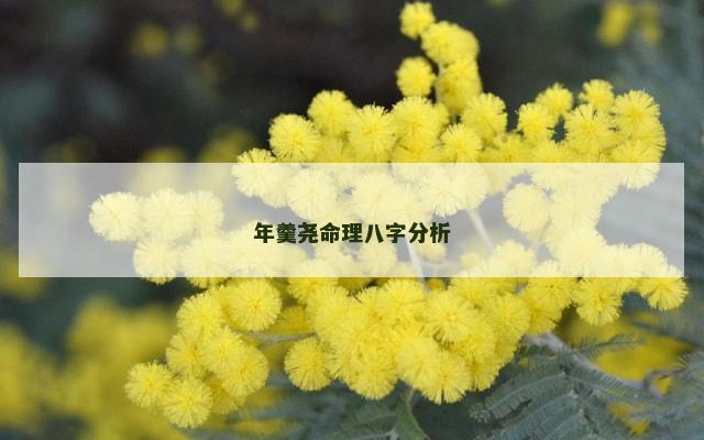 年羹尧命理八字分析