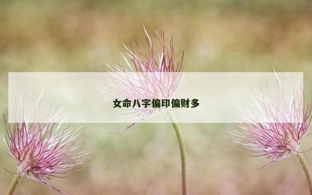 女命八字偏印偏财多