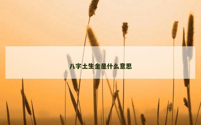八字土生金是什么意思