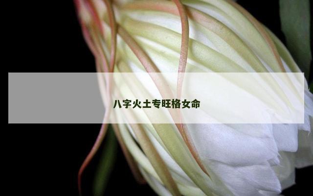 八字火土专旺格女命
