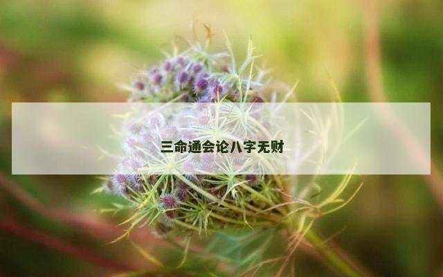 三命通会论八字无财