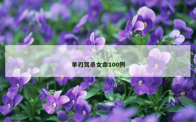 羊刃驾杀女命100例
