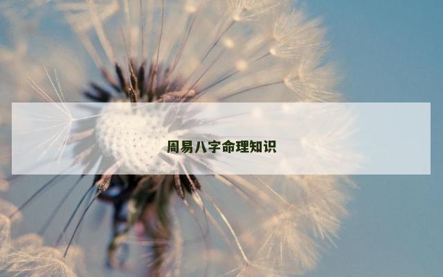 周易八字命理知识