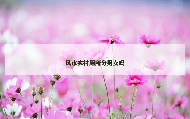 风水农村厕所分男女吗