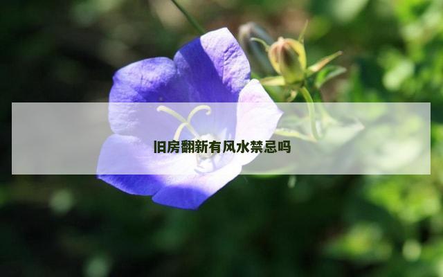 旧房翻新有风水禁忌吗