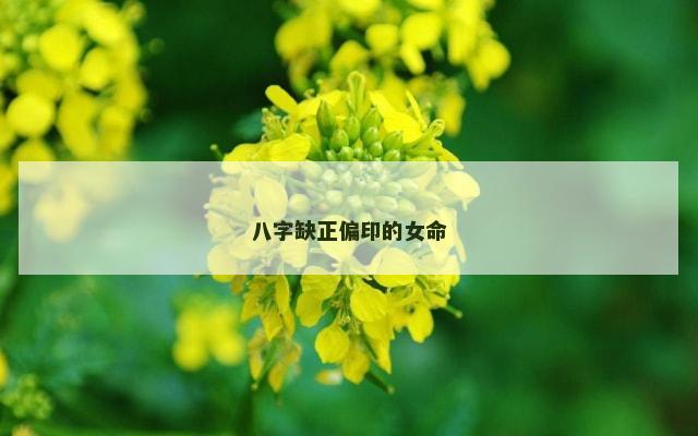 八字缺正偏印的女命