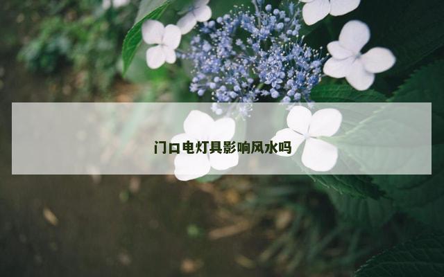 门口电灯具影响风水吗