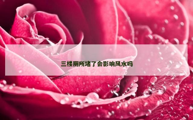三楼厕所堵了会影响风水吗