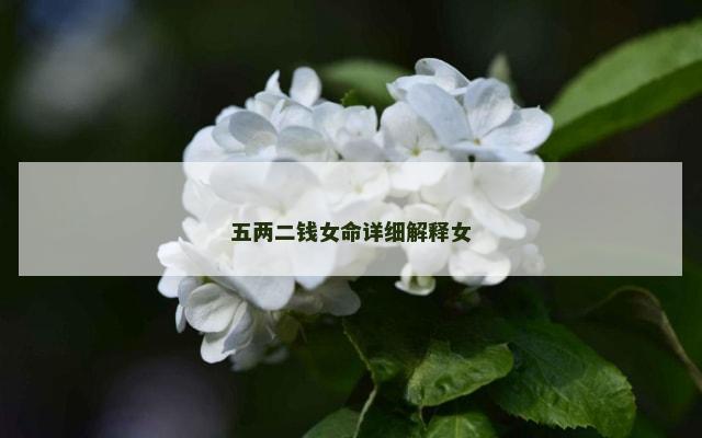 五两二钱女命详细解释女