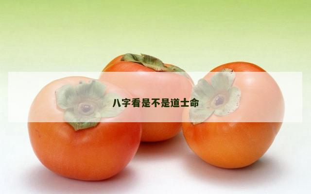 八字看是不是道士命