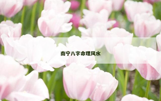 南宁八字命理风水
