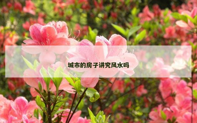 城市的房子讲究风水吗