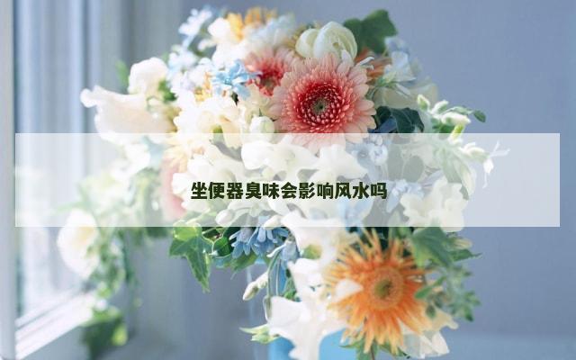 坐便器臭味会影响风水吗