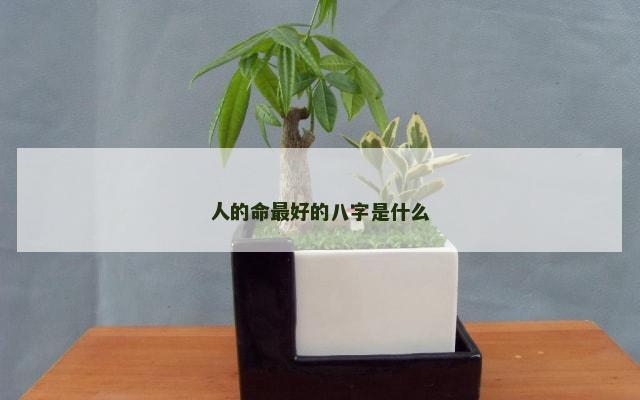 人的命最好的八字是什么