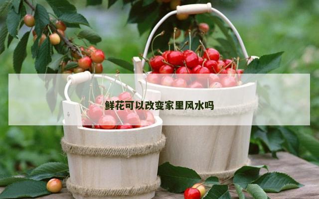 鲜花可以改变家里风水吗