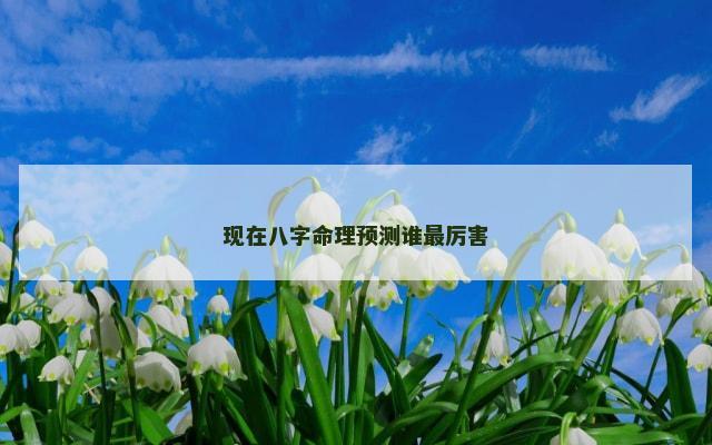 现在八字命理预测谁最厉害