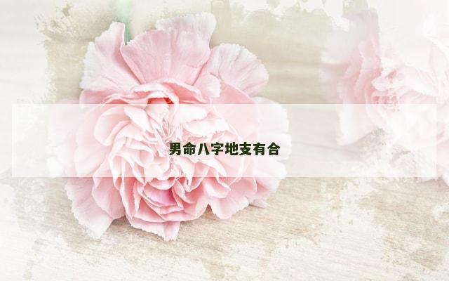 男命八字地支有合
