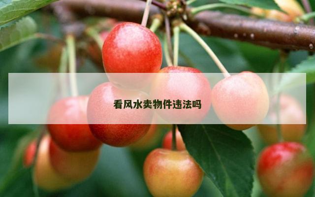看风水卖物件违法吗