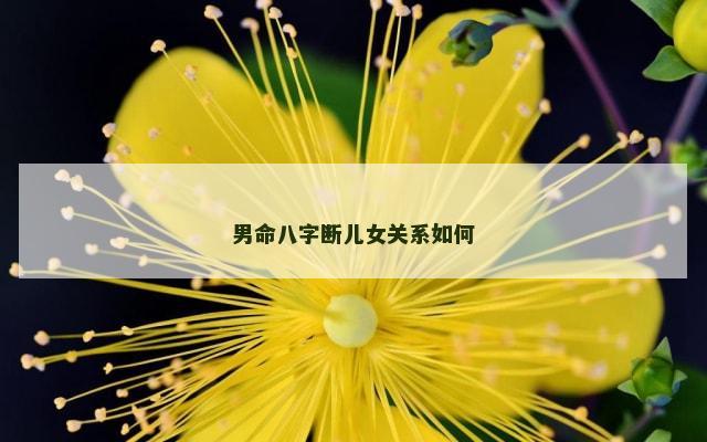 男命八字断儿女关系如何