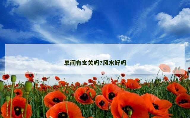 单间有玄关吗?风水好吗