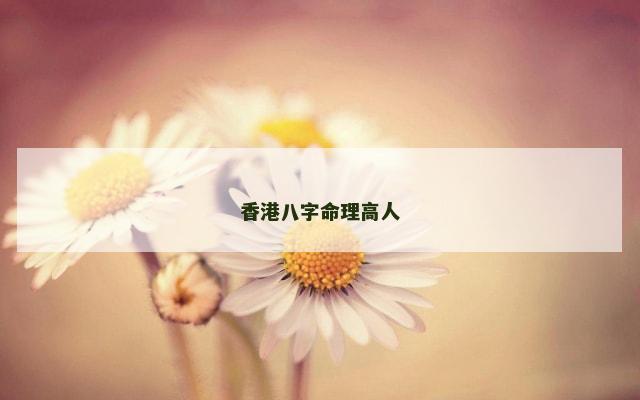 香港八字命理高人