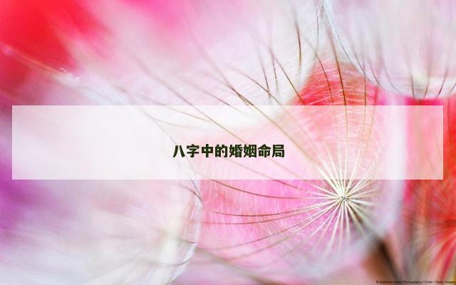 八字中的婚姻命局