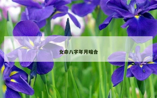 女命八字年月暗合