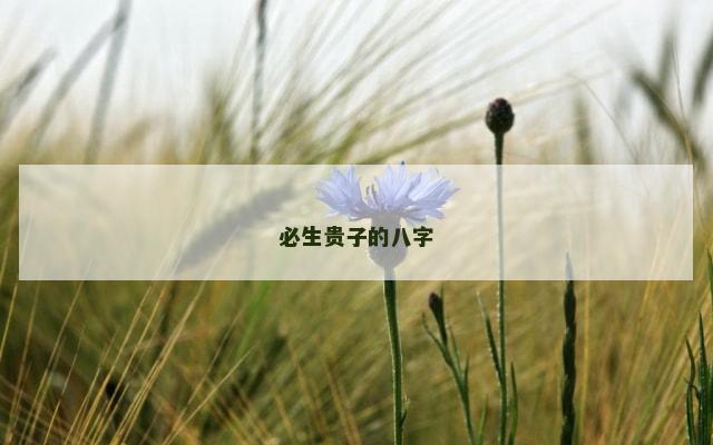 必生贵子的八字