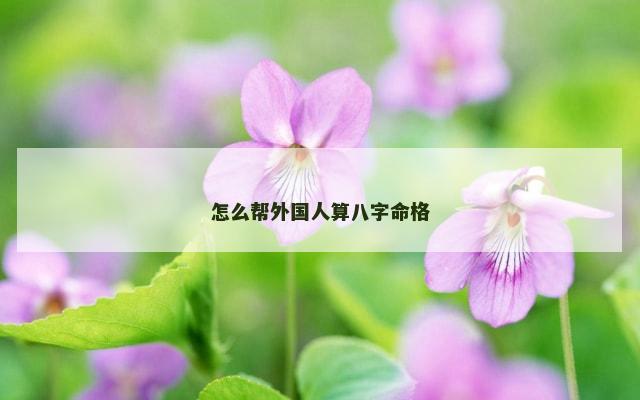 怎么帮外国人算八字命格