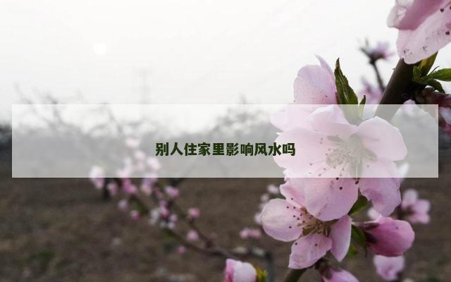 别人住家里影响风水吗
