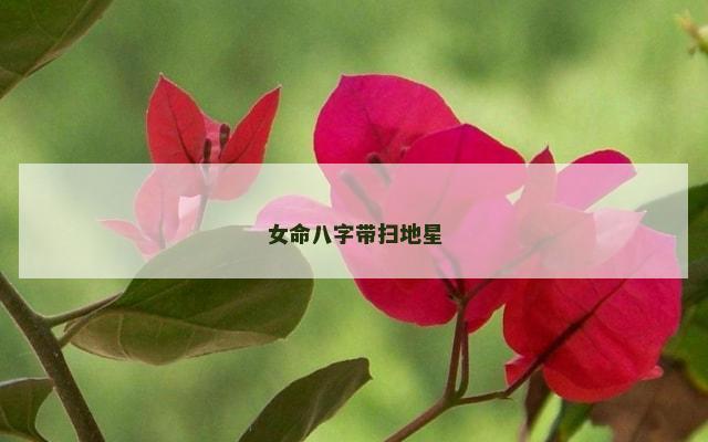 女命八字带扫地星