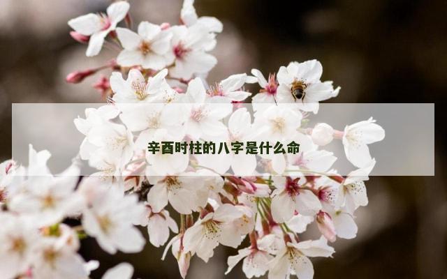 辛酉时柱的八字是什么命