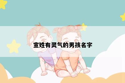 宣姓有灵气的男孩名字